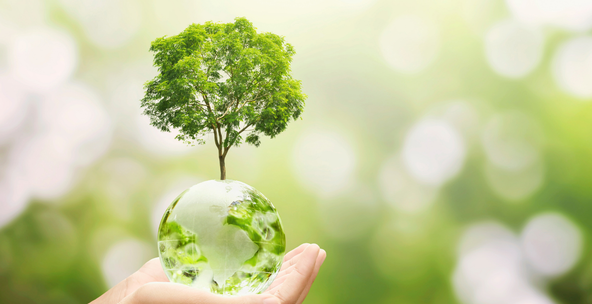 Green earth globe